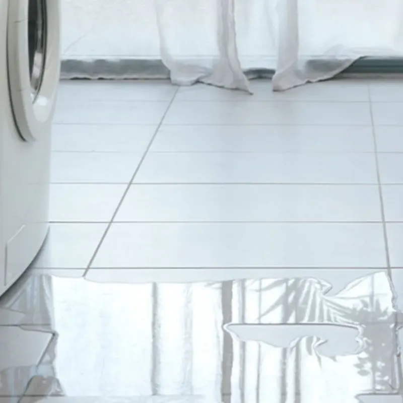 Appliance Leak Cleanup in Ville Platte, LA