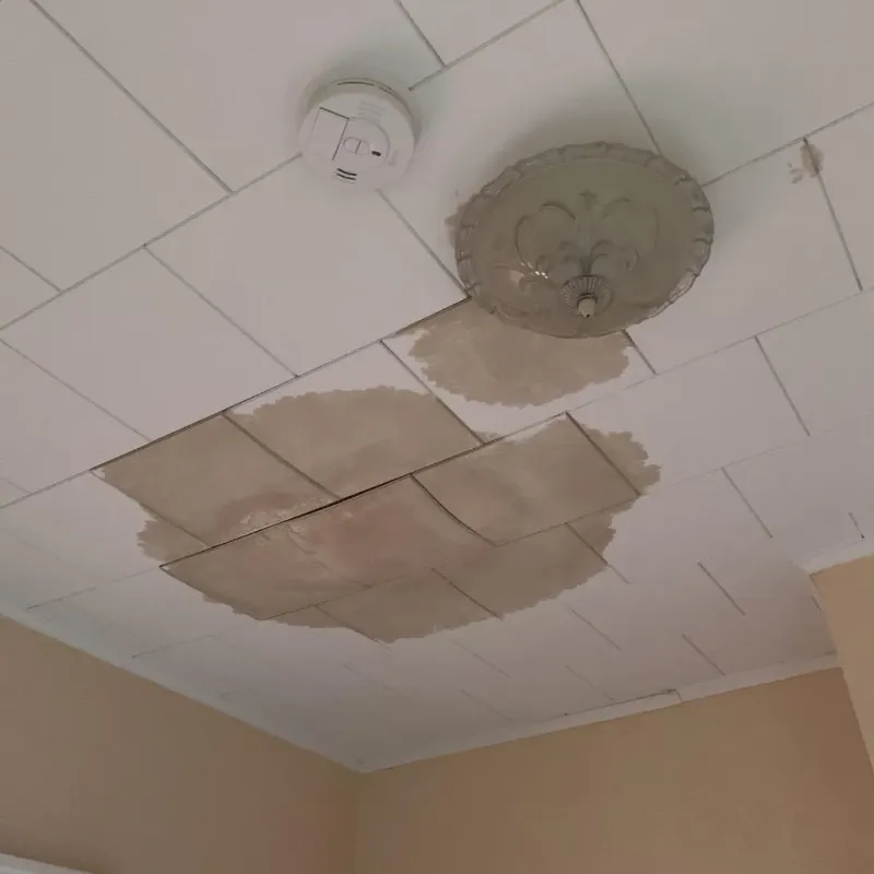 Ceiling Water Damage Repair in Ville Platte, LA