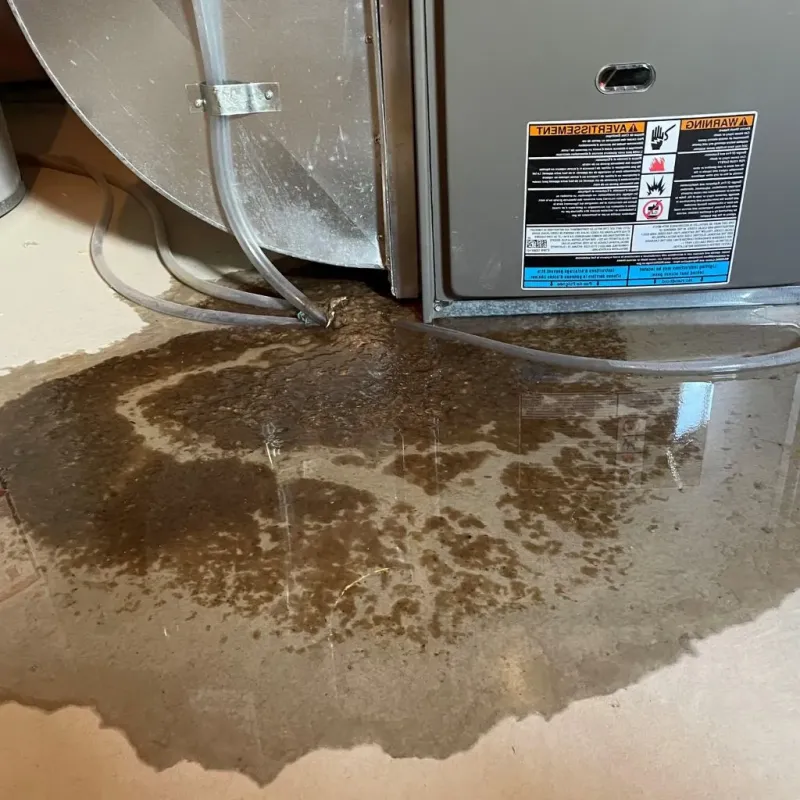 Pipe Burst and Leak Restoration in Ville Platte, LA